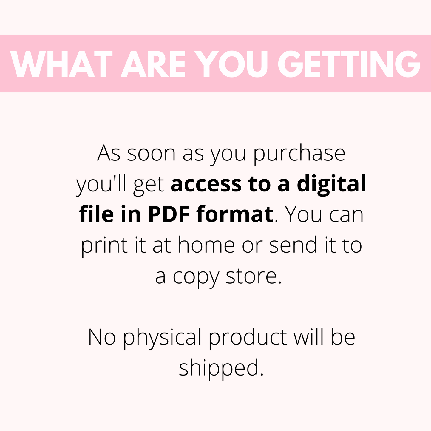 Back to School Bundle (Mini Version)