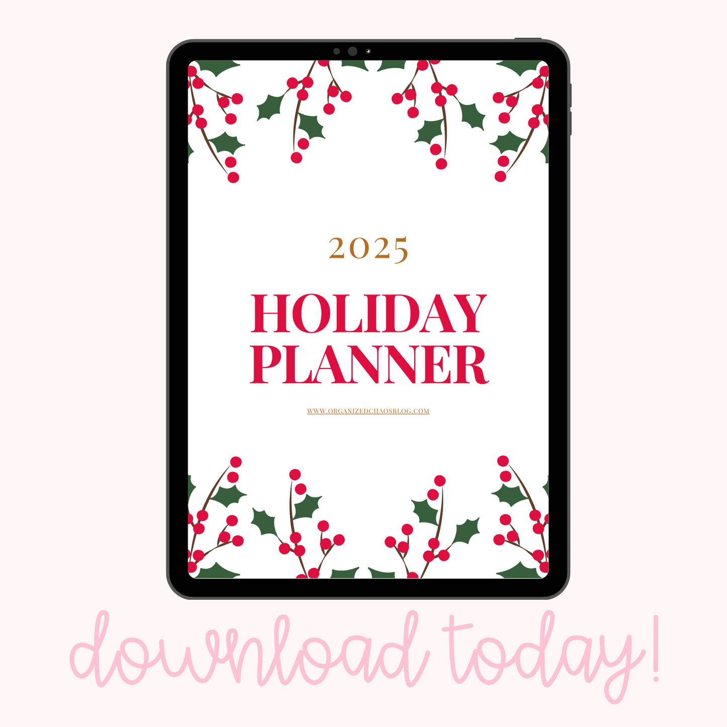 2025 Holiday Planner